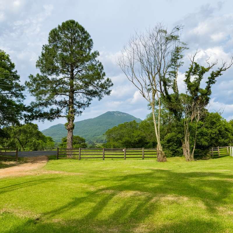 Chácaras e Sítios para venda | Ref.: 335